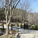 카페수목원 이미지