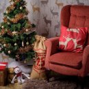 귀뚜라미 서비스 이미지