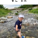 부산 근교 계곡추천 경남 양산계곡 울산울주군계곡 경북 계곡모음리스트