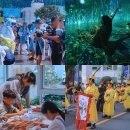 무주반딧불작은도서관 | 무주 반딧불축제 2025 야밤도주 혼자 여행 반딧불이 볼수있는곳