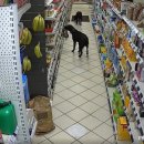 한신주유소 이미지