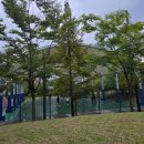 장지체육공원 농구장