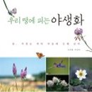 석항2교