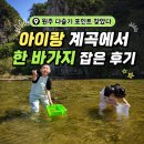 원주 다슬기 포인트 찾았다｜아이랑 계곡에서 한 바가지 잡은 후기