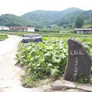 진주 충노 최의남 정려현판 이미지