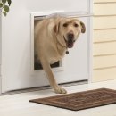 강아지와 고양이(Dog & Cat) 이미지