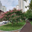 동산고등학교 후문 이미지