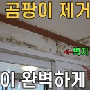 벽지 곰팡이제거 어렵지 않습니다 이미지