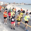 제주국제관광마라톤축제, ‘지구촌 축제로 각광’ 이미지