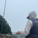 삼마전기 이미지