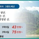 개미여행사