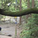 양묘장약수터 이미지