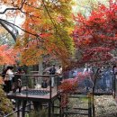하늘숲 - 가평군 멱골로 121 | 하늘숲