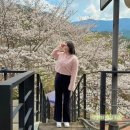 증심사뚱돼지숯불갈비 | 광주 벚꽃 명당, 벚꽃을 보며 고기를 즐길 수 있는 증심사 뚱돼지숯불갈비 추천 (내돈내산)