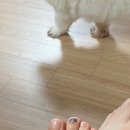 세용 농장 이미지