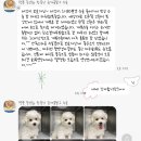 쥬만지동물의료센터 이미지