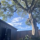 일로로이 | 무안여행 수영장펜션 일로로이