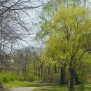 오크랜드 이미지