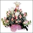 (주)유성가축약품 이미지