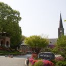 인생맥주 이미지