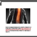 용황헬스 이미지