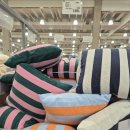 (주)트리플에이게임즈 | 코스트코 공세점 쇼핑 리스트｜딸기 할인, 애슐리 피자, 소바바 치킨 장바구니 공개