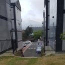 민오름 (연미월왓방면) | 민오름 - 제주시 오라동