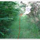 밤이농장 이미지