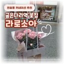 라로소아 | 천호동 굽은다리역 꽃집 라로소아, 어버이날 · 스승의날 카네이션 추천