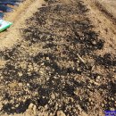 계룡 농장 이미지