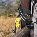 회암초등학교 | 2025강원도 정선 민둥산_운동 데이트 하기 좋은 등산 코스