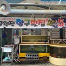 공현진항구횟집 이미지