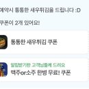 낭만조개 이미지