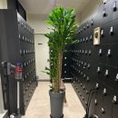 올바른필라테스&PT 이미지