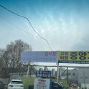 금탑소형자동차공업사 | [충청자동차정비공업사] 청주 자동차 검사소 추천!(할인방법)