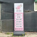 세송이꽃 | 인천 꽃도매시장 경인꽃도매에서 부모님 첫인사 꽃다발 준비 후기