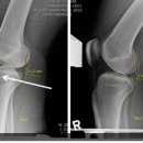 성모메디트레이닝센터 이미지