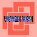 송동로-12 네이버블로그