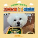 견생냥품무인24시시흥배곧점