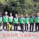 충북지회 사회봉사단 사옥주변 정화 활동 이미지