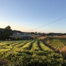 태안별주부마을 이미지