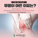 연골 | 모충동한의원 무릎 관절염 연골재생 후기