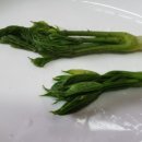 참솔에너지 이미지