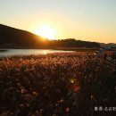 현천3구마을회관 | 여수 가사리 갈대밭 만추에 즐기는 여수 낭만 홀릭