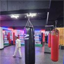 강성복싱체육관 이미지