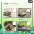 국제적 멸종위기(CITES)- 우편사업진흥원의 초일봉투 및 맥시멈 카드에 사용될 봉투와 그림엽서. 이미지