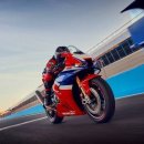 파이어코리아 이미지