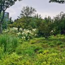 서울식물원 이미지