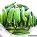 범석농장 이미지