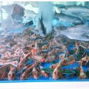 은아네 맛집 이미지